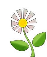 Daisy Drawing