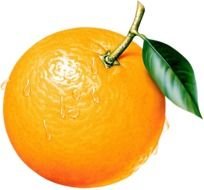 Gallery Free Picture&hellip; Fruit Png Orange Pictu&hellip;