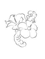 Hibiscus Line Art drawing