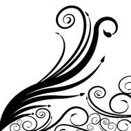 fairy swirl design