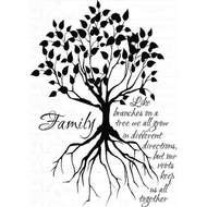 family tree and text drawing