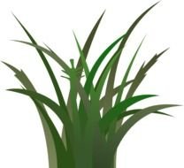 Green Grass At Clkercom Vector Online Royalty