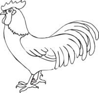 Rooster Outline At Clkercom Vector Online