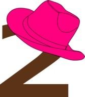 Pink Cowboy Hat Image Search Results