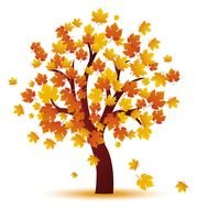 Fall Is Here Check Out Our New Programs With In Full Swing