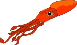 red squid