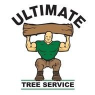 logo of the ultimate service