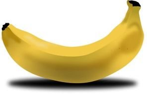 Banana N16