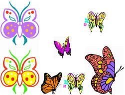 Butterflys Butterflies