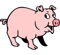 Pig 1 550&amp;215500