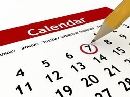 calendar number 7 drawing