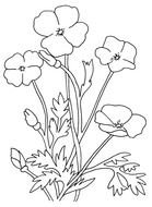 Flower Black And White Coloring Page drawing