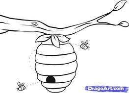Free Online Drawing Tutorial Added By Dawn July 16 2010 52511 Pm