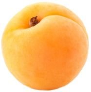 Gallery Free Picture&hellip; Fruit Png Large Apricot Cl&hellip;