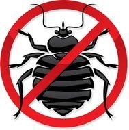 Bed Bug Photos Images &amp; Pics What Do Bugs Look Like