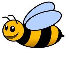 Bee Image Search Results