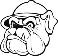 drawing of the muzzle of a bulldog