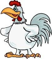 Clip art of the cock