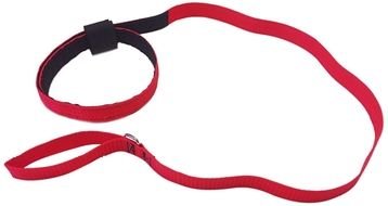 red dog leash