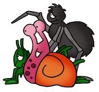 Vertebrates &amp; Invertebrates Free Science Lesson Plans Activities