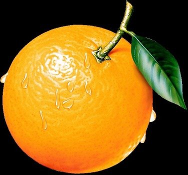 Gallery Free Picture&hellip; Fruit Png Orange Pictu&hellip;