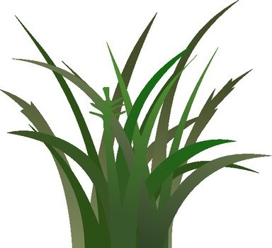 Green Grass At Clkercom Vector Online Royalty