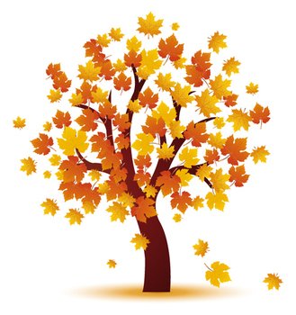 Fall Is Here Check Out Our New Programs With In Full Swing