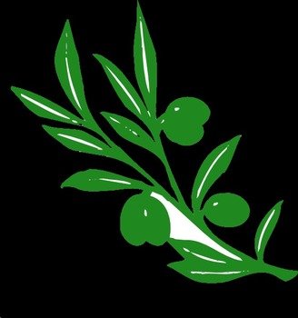 Olive Tree Branch At Clkercom Vector Online clipart