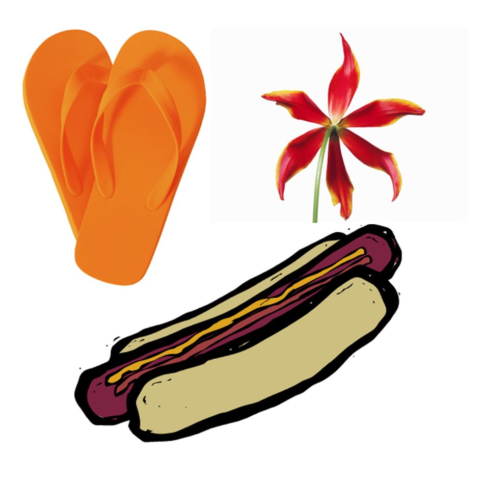 drawings of beach slippers near a hot dog