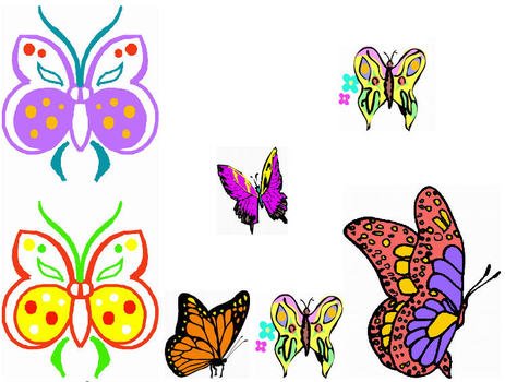 Butterflys Butterflies