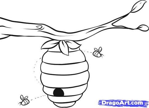 Free Online Drawing Tutorial Added By Dawn July 16 2010 52511 Pm