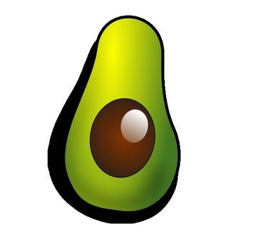 Net &187 Palta Avocado 2istnet Poster Art