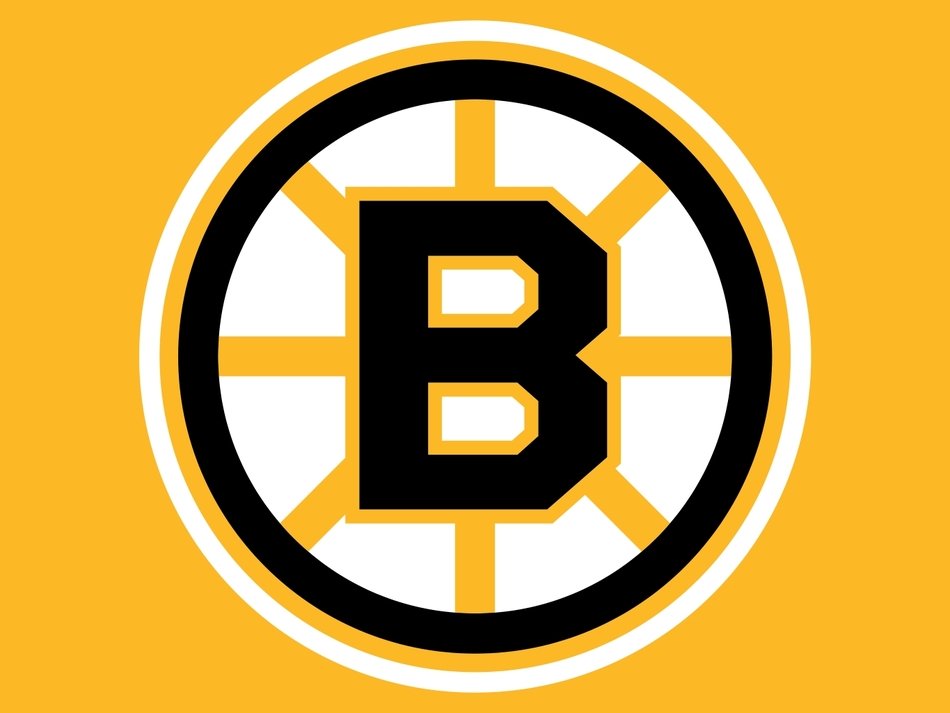 Bruins Logo drawing
