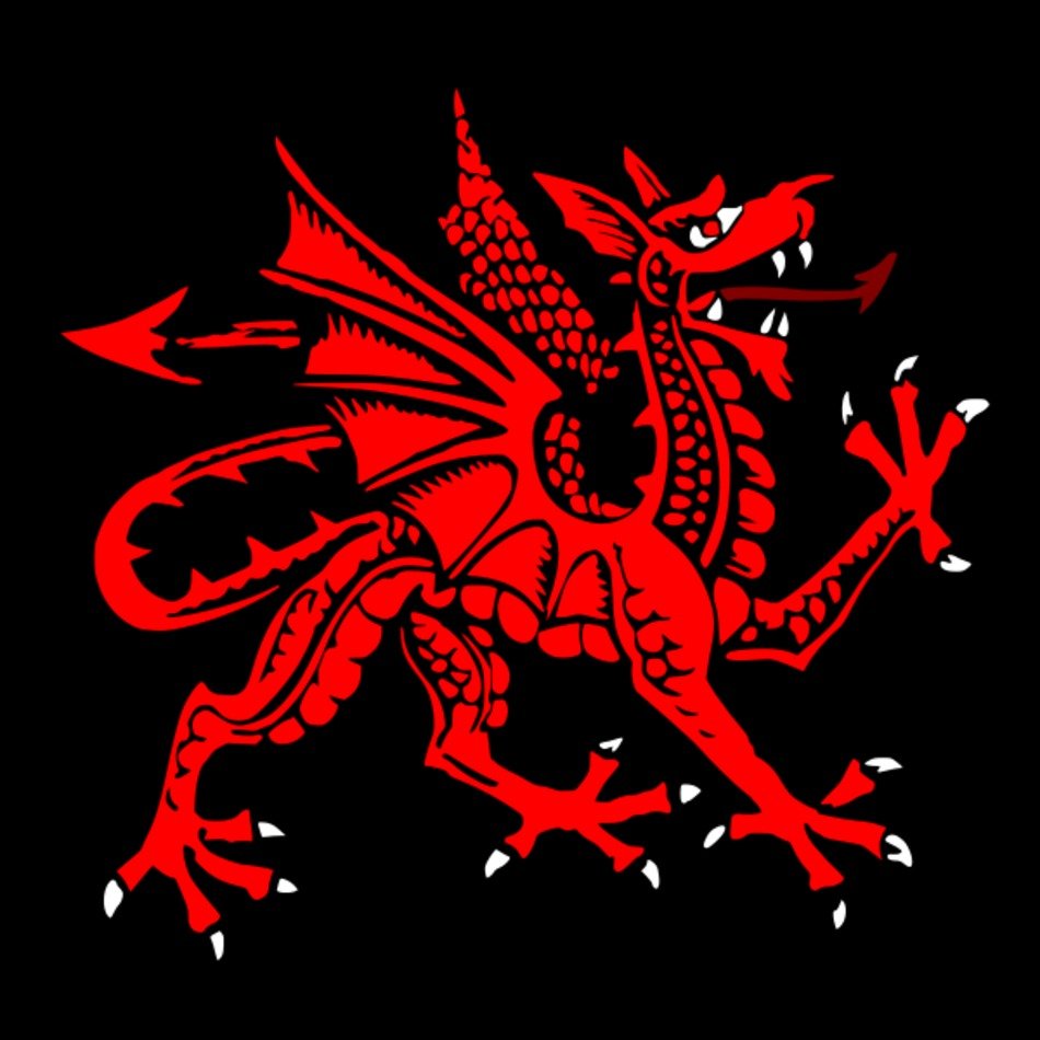 Follow The Piper Celtic Dragons