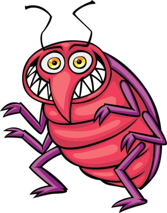 Bed Bug drawing