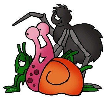 Vertebrates & Invertebrates Free Science Lesson Plans Activities