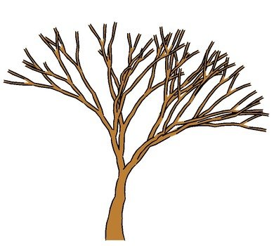 clipart of the leafless tree