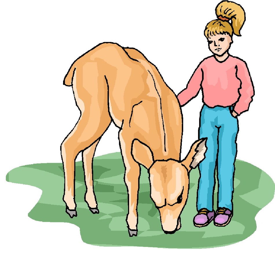 picture of a girl near a cow