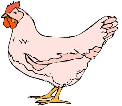 Spring Borders Free Poultry Autumn
