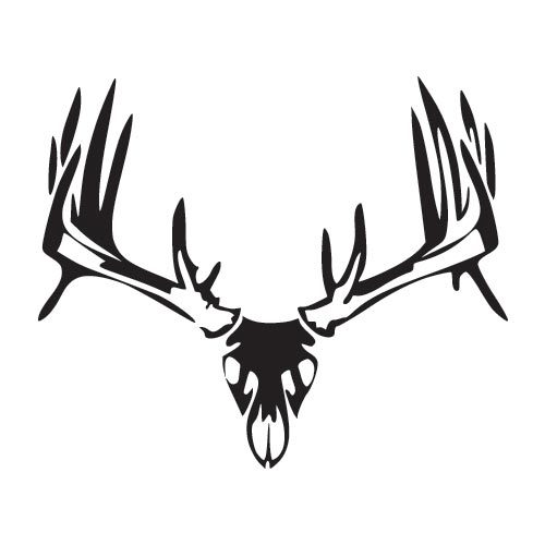 Elk Skull drawing free image download