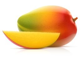fresh Mango drawing