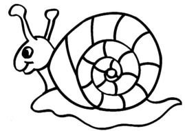 slow snail drawing