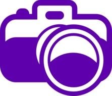 Grape Camera Icon At Clkercom Vector Online
