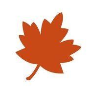 Red Maple Leaf Fall Leaves Cl