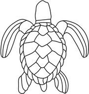 Clip Art Green Sea Turtle Black White Line