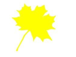 Clip Art Yellow Leaf Image Search Results