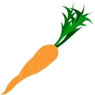 drawing carrots on a black background