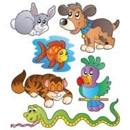 Kinder Wandtattoo Haustiere 2 Wandprinzch