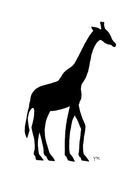 Gallery For &amp;gt Gray Giraffe Shadow