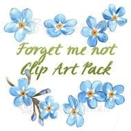 Clipart Forget Me Not Watercolor Painting Digital Collage
